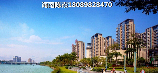 2022滨江商业广场房子会生纸吗1
