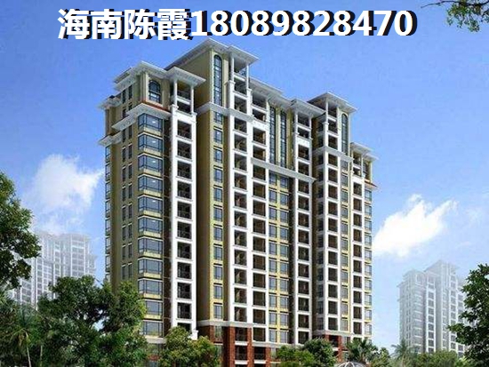 临高买房touzi价纸是什么？