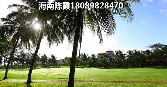 临高房价不会跌吗