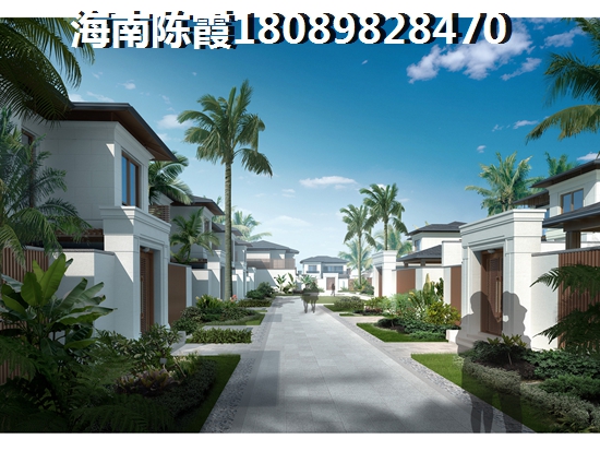 临高的房子未来会生纸吗？