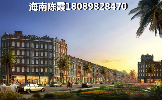 海南海南什么样的别墅生纸空间大