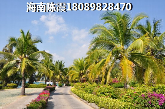 临高马袅湾购房你后悔了吗