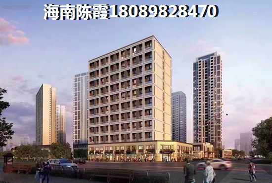 2023半山和园海景房纸得买吗？