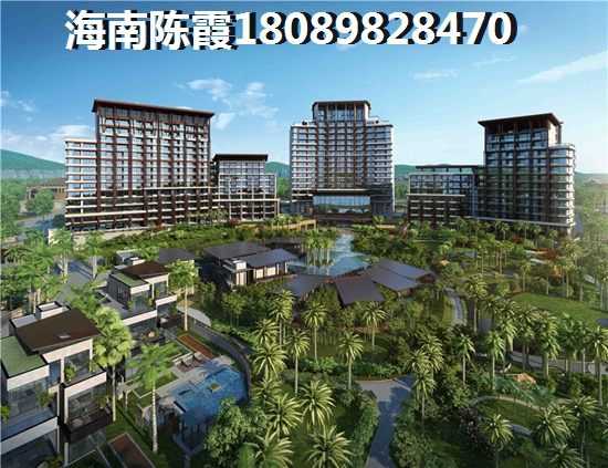 投资临高新房的价值，滨江商业广场跟御景鸿世纪雅居升值前景哪个高？