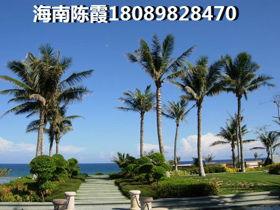 “候鸟”适不适合海南临高过冬？