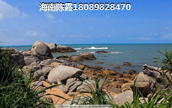 云游有手游吗怎么玩的