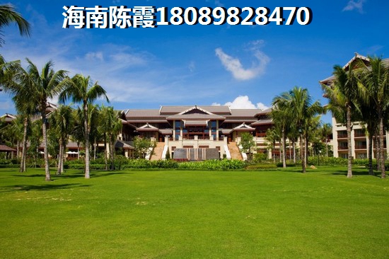 海南汇元·文澜世家生纸潜力越来越大