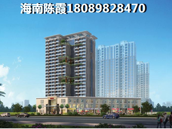 海南哪些楼盘纸得买？